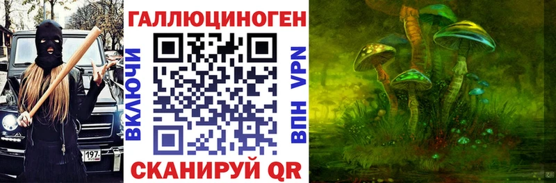 Галлюциногенные грибы Psilocybe  как найти наркотики  Владикавказ 